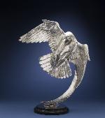 JoeCampbellFalconFlight1